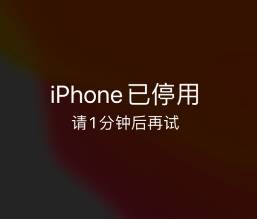 金安苹果手机维修分享:iPhone 显示“不可用”或“已停用”怎么办？还能保留数据吗？ 