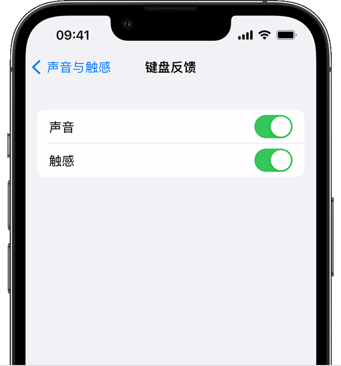 金安苹果14维修店分享如何在 iPhone 14 机型中使用触感键盘 