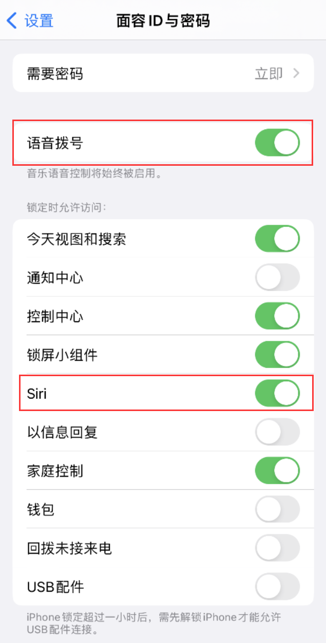 金安苹果维修网点分享不解锁 iPhone 的情况下通过 Siri 拨打电话的方法 