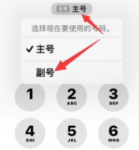 金安苹果14维修店分享iPhone 14 Pro Max使用副卡打电话的方法 