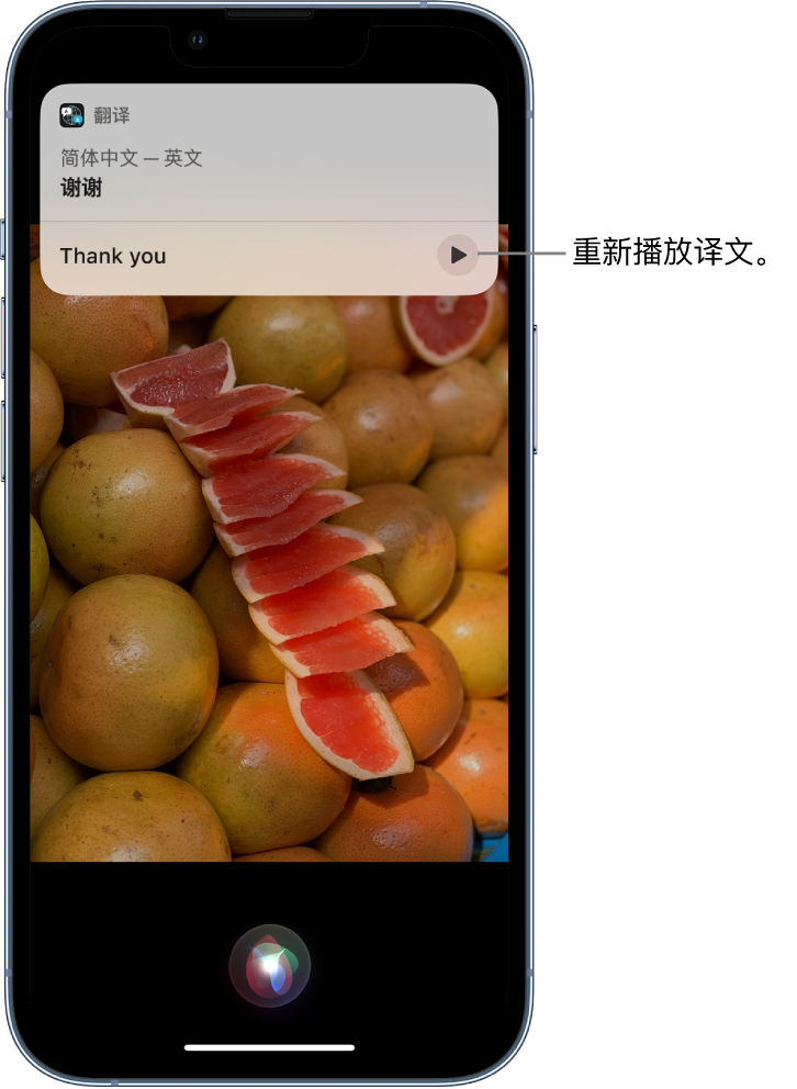 金安苹果14维修分享 iPhone 14 机型中使用 Siri：了解 Siri 能帮你做什么 