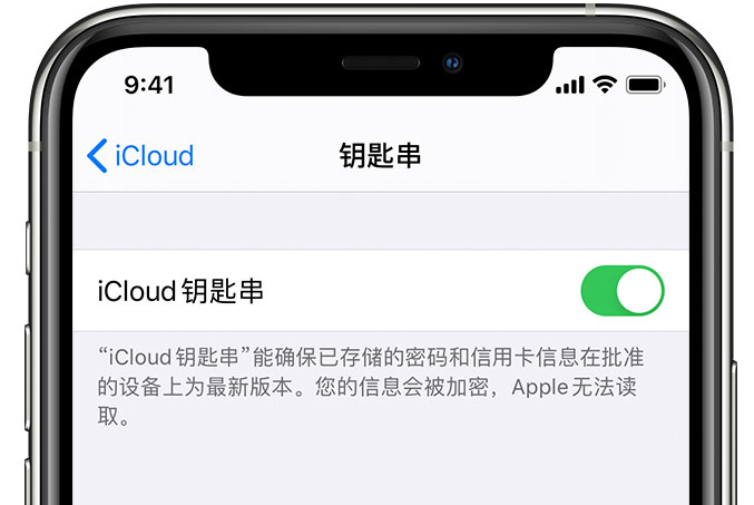 金安苹果手机维修分享在 iPhone 上开启 iCloud 钥匙串之后会储存哪些信息 