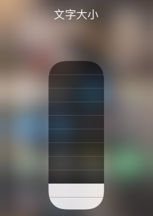 金安苹果手机维修分享小技巧：在 iPhone 控制中心快速调节字体大小 