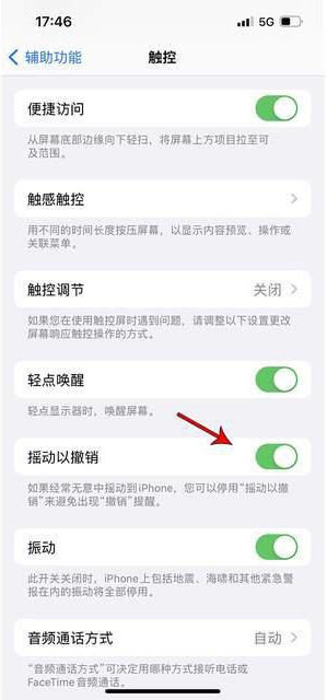 金安苹果手机维修分享iPhone手机如何设置摇一摇删除文字 