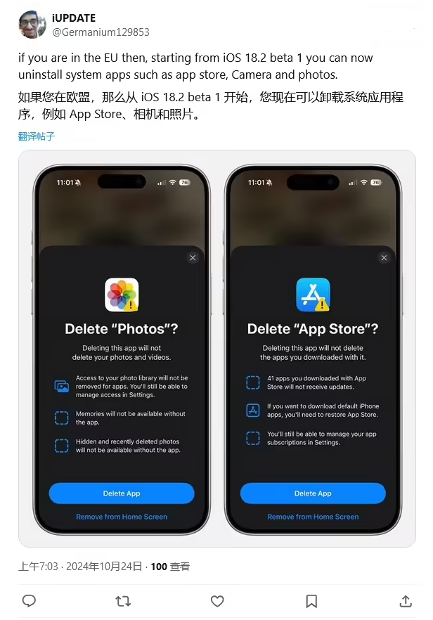 金安苹果手机维修分享iOS 18.2 支持删除 App Store 应用商店 